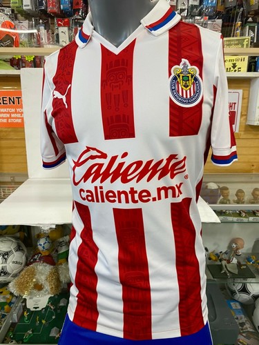 guadalajara puma