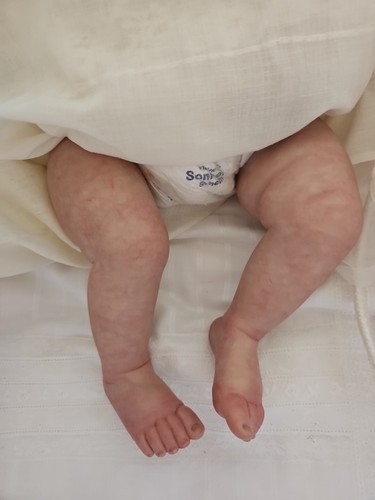 REBORN ASHIA BY LAURA LEE ORIGINALS PRECIO NEGOCIABLE - Imagen 3 de 20