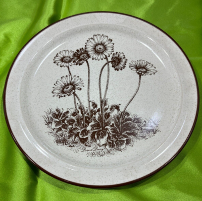Vintage Noritake Stoneware Desert Flowers 8341 Salad Plate 8-1/4
