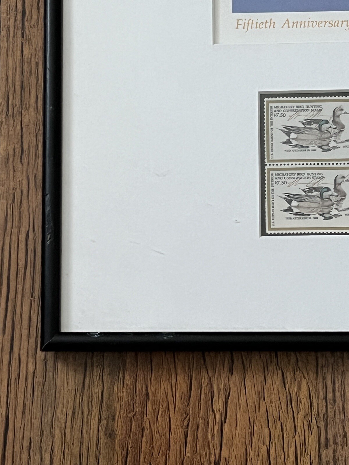 Picture 12 of 15