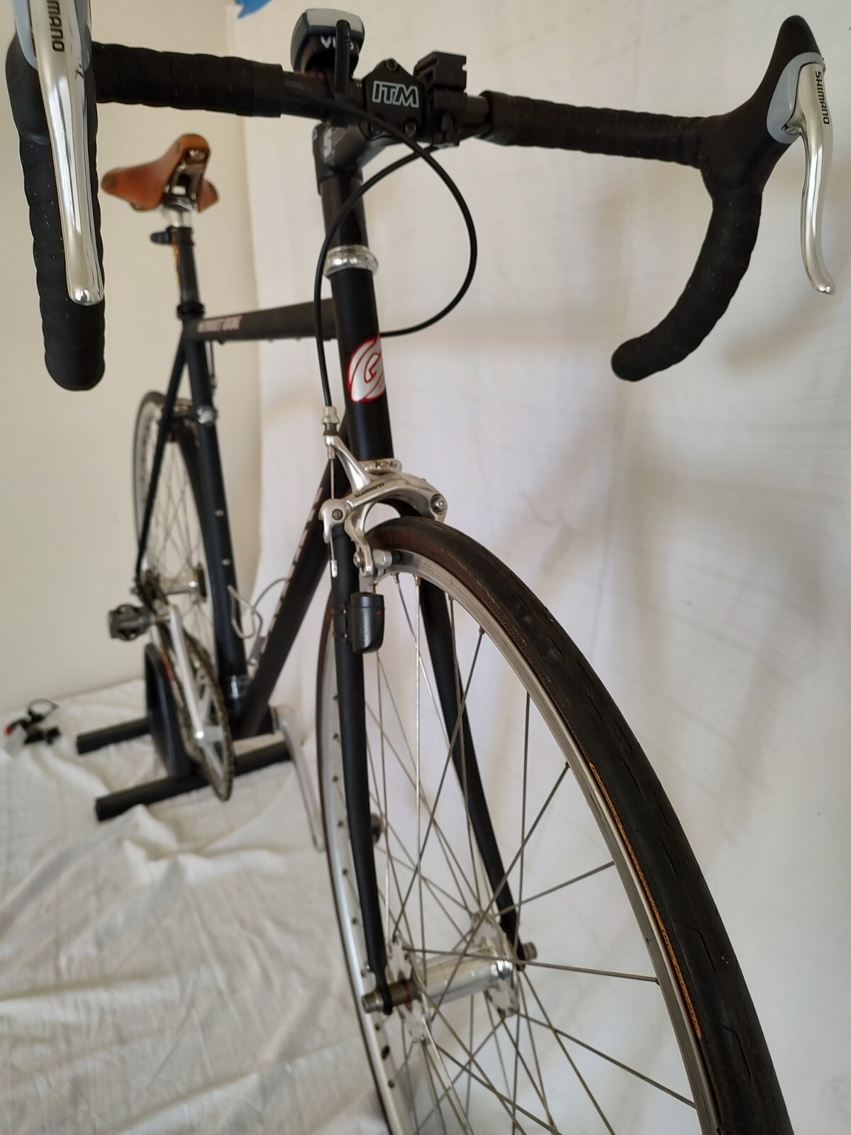 Gunnar Street Dog 56cm