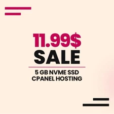 Cheap and Secure Web Hosting 1 Year 5 GB NVMe SSD cPanel, free SSL