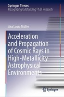 Acceleration And Propagation Of Cosmic Rays In High-Metallicity Astrophysical En