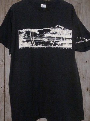 NWOT - HAWAII ISLAND VIBRATIONS Color-Change Image Adult L Short Sleeve Tee