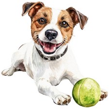 2 adesivi Jack Russell Terrier adesivi auto 9 x 9 cm cane JRT cucciolo set