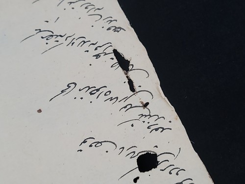 Princely Ruler Muhammad Wazir Khan Signed Royalty Manuscript Document Royalty IN - Picture 20 of 24