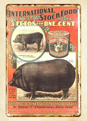 pig-poster-ideas