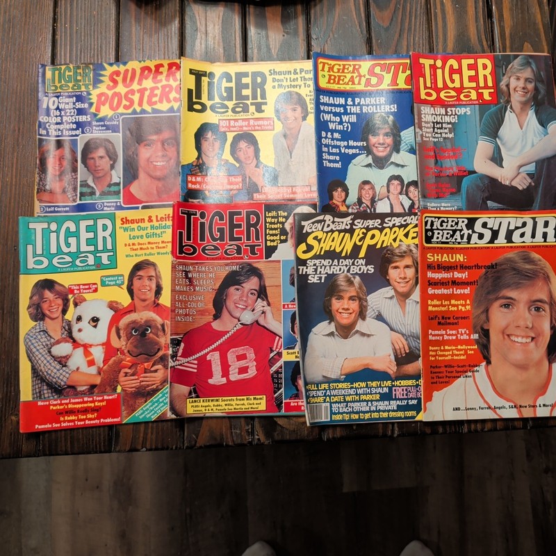 LOT-(8) VTG 1970s  Tiger Beat/Teen Stars MAGAZINE W/PINUPS Baio/Leif/Parker
