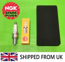 Service Kit Cobra M40SPC DG450 OHV Air Filter NGK BPR6ES  Spark plug Lawnmower
