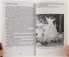 Picture 6 of 6