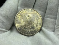 1881-S MORGAN SILVER DOLLAR BU UNCIRCULATED Golden Toned Reverse Q138