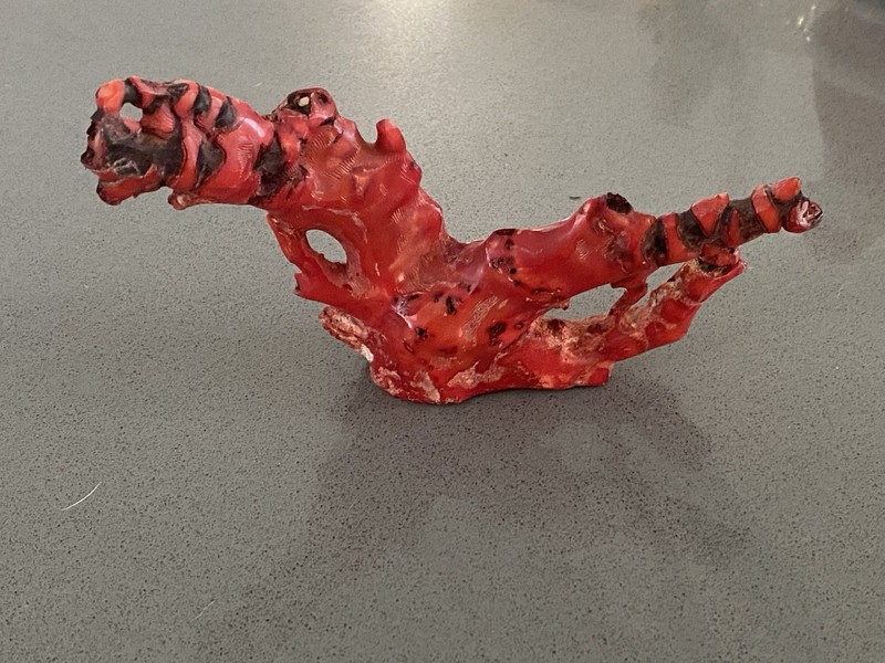Natural Red Coral Branch Specimen – 6.5” Raw Red Coral 11.5 oz Vintage Estate