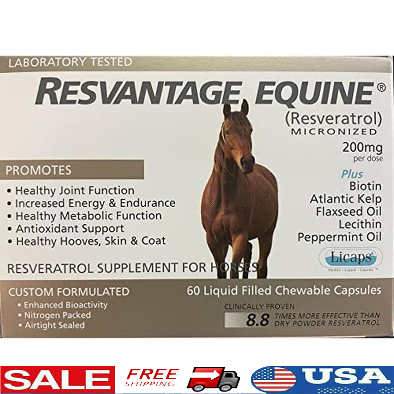 Equine Supplement 60 Chewable Resveratrol Capsules Horse Wellness Support New