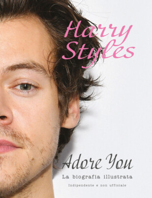 Harry Styles. Adore you. Die illustrierte Biographie - McHugh Carolyn