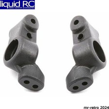 Associated 31219 Factory Team Rear Hub .5 Degree Tc5