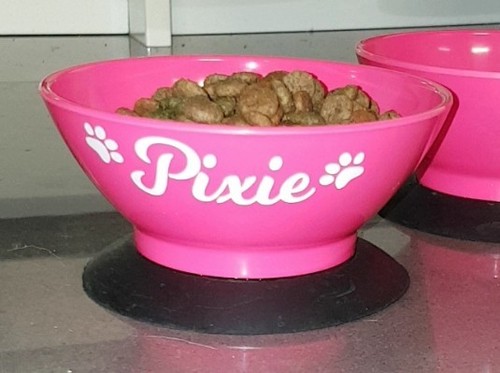 Personalised Pet Name Sticker for Cat/Kitten Travel Crate/Carrier/Litter Tray - Picture 4 of 4