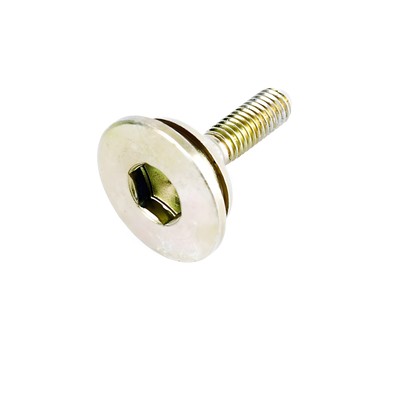 Bolzen Schraube Schiene Steuerkette für Benzhou Formula 2000 Baotian BT49QT