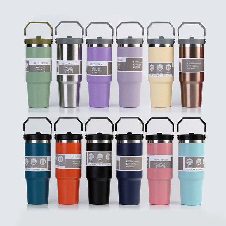 Portable Stainless Steel Travel Water Bottle with Handle and Cover