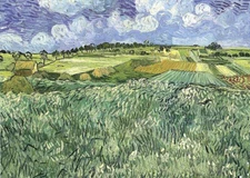 Oil painting Vincent Van Gogh - Plain near Auvers 1890 hand painted landscape