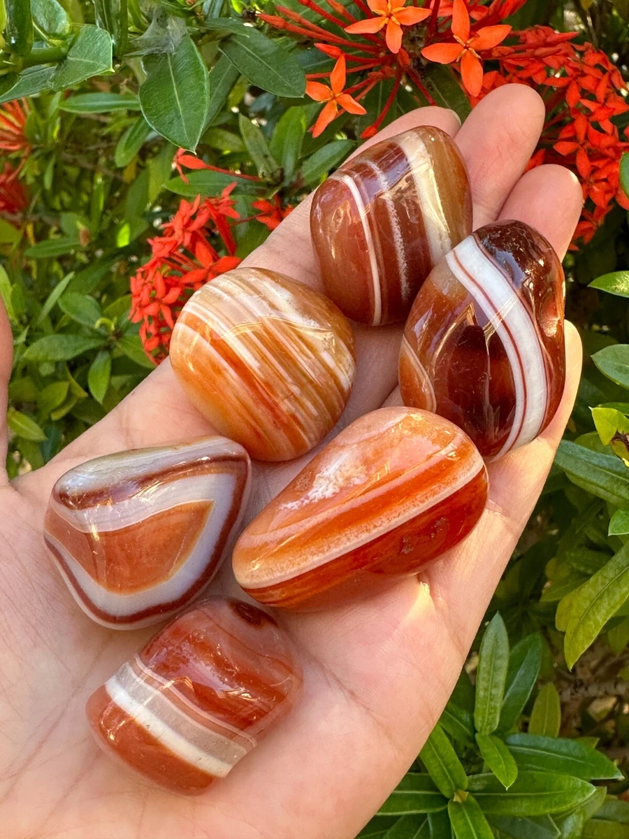 Grade A++ Red Banded Agate Pebble, 1 - 2 Polished Red Banded Agate, Bulk  Lot