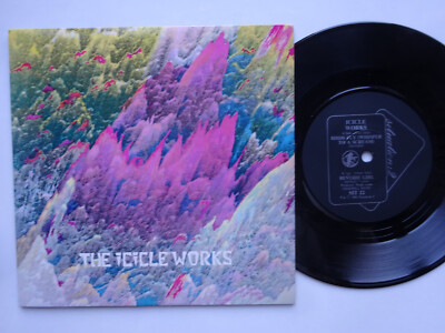 THE ICICLE WORKS Vögel fliegen - EX/EX Zustand Orginal Situation Two 7'' (1983)