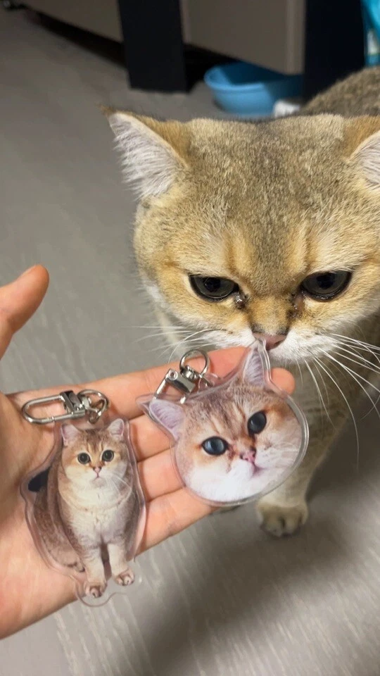 个性化照片钥匙扣 — 第 2/3 张图片