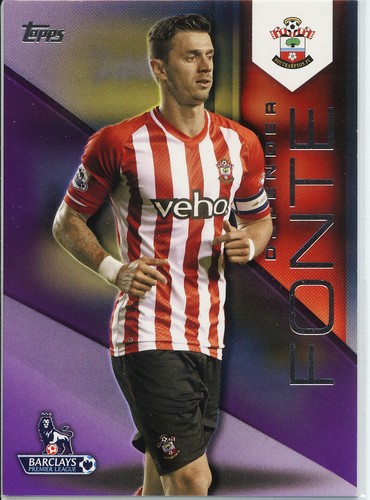 TOPPS PREMIER GOLD STADIUM CLUB SOUTHAMPTON PICK UR PLAYERS CARDS - Picture 33 of 103
