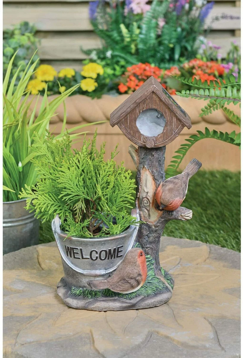 Robin solar sale light