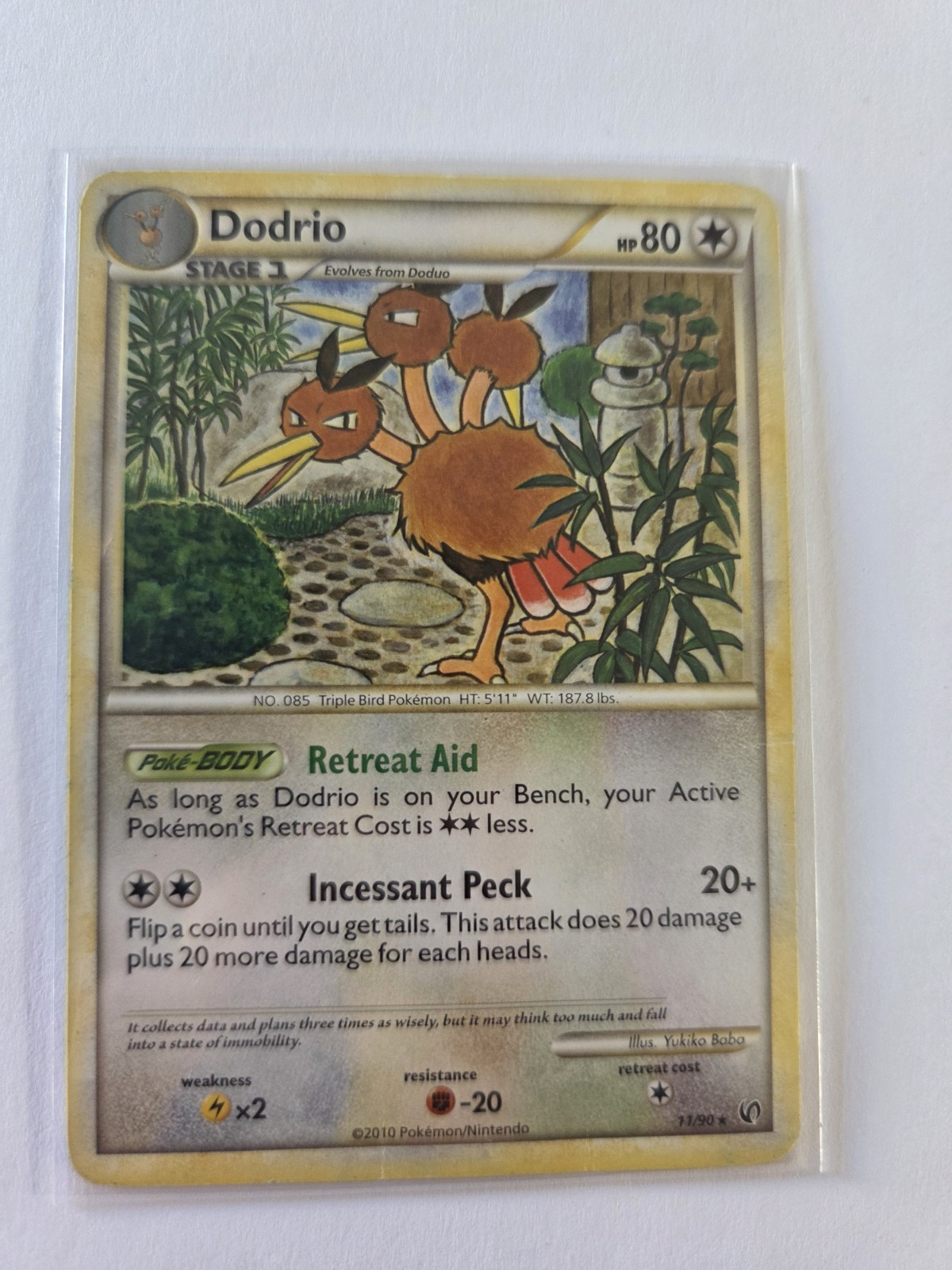 Dodrio 11/90 Undaunted Regular