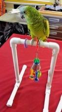 Transporter Basic Medium 3/4" Parrot Perch Toy or Swing STAND