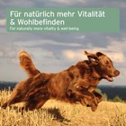 Bild 10 von 11