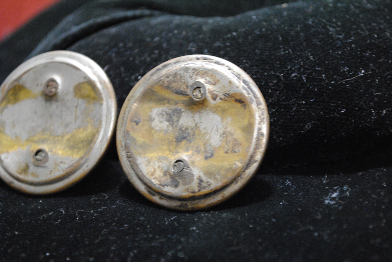 Antique Pair of Reverse Painted Hunting Dogs Glass Horse Bridle Rosettes