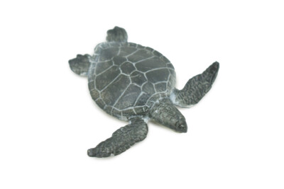 Green Sea Turtle Baby, Hatchling, Realistic Figure Model Toy Gift 2'' CH659 BB169