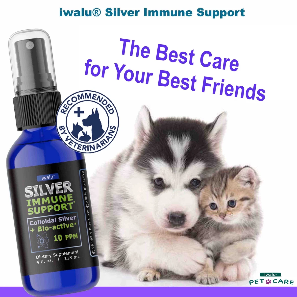 Colloidal silver 2025 for cats uti