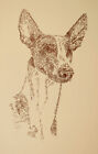 Ibizan Hound - Rainbow Bridge Personalized Kline dog art lithograph. #15
