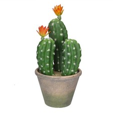 Allstate 12.5" Green Flowering Column Cactus In A Ceramic Pot With Flowers