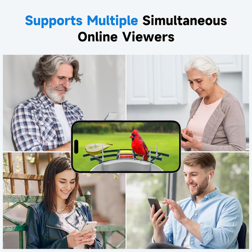 Smart Bird Feeder con Telecamera, 2K HD AI Identificare Specie di Uccellini, Bir D Watching C - Foto 7 di 7