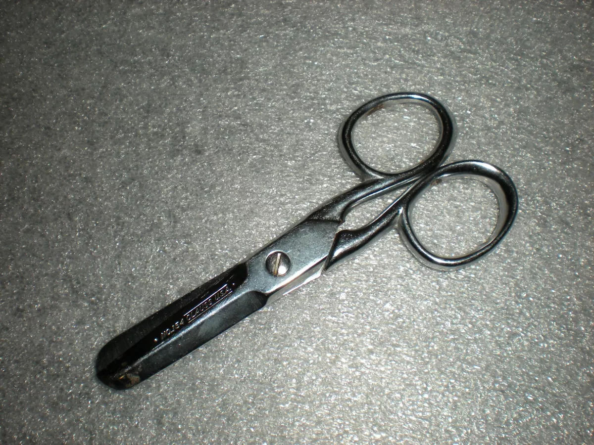 Black little scissors