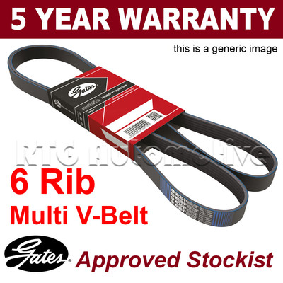 GATES Micro-V Stretch Fit 6PK1019SF Multiriem 1019mm, 6