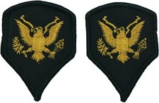 2 US Vietnam Era Army Specialist E-4 SPC SPC4 Rank Patch Enlisted Dirty Bird