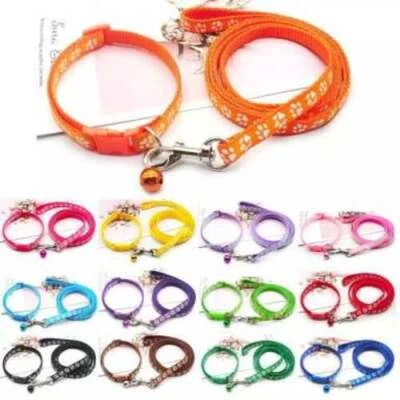 Hundehalsband und Leine Set kleine Hunde Welpen Chihuahua rot schwarz rosa etc.