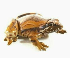 Kaiyodo Choco Q Ornate Narrow-mouthed Frog Animal Realistic Figure Miniature