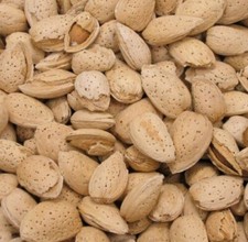 Raw California Almonds In Shell 2 lbs Premium Quality fresh stock free shipng