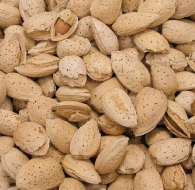 Raw California Almonds In Shell   2 lbs Premium  Quality fresh stock free shipng
