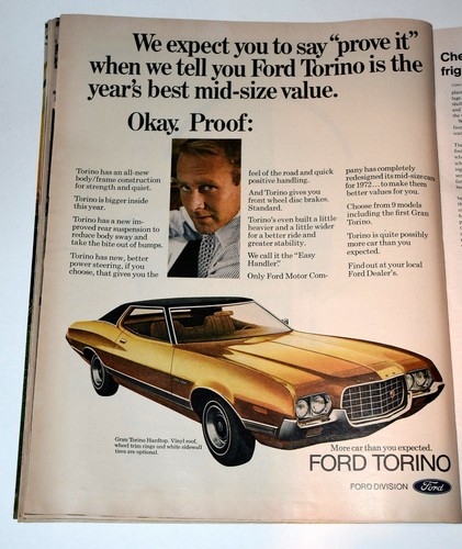 LIFE Magazine May 28, 1972 Wallace Shooting, Gran Torino Ad, Fritz the Cat - Picture 9 of 12