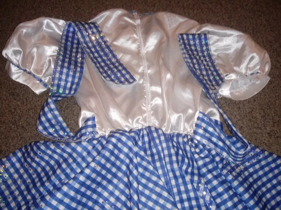 WIZARD OF OZ DOROTHY ПЛАТЬЕ КОСТЮМ ДЛЯ ХЭЛЛОУИНА ДЕВОЧЕК РАЗМЕР MED 7-8 БЛЕСТКАМИ БЛЕСТЯЩИЙ - Изображение 4 из 4