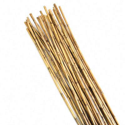 3.5' Natural River Cane