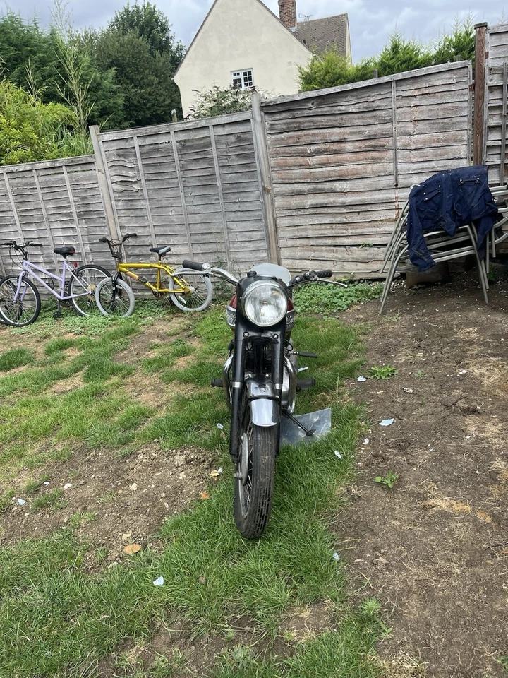 Triumph T100a 500cc - Image 4 of 4