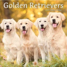 TURNER PHOTOGRAPHIC Golden Retrievers 12x12 Photo Wall Calendar 25998940022