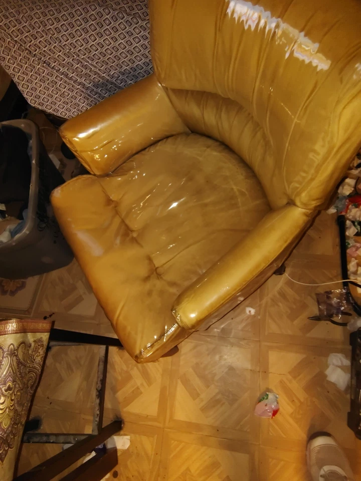 Sillón vintage Shepherd Foto 2 de 4